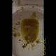 Emi squats over the toilet with her ass to the camera and lets out a nasty raunchy pre-period shit, shows the full bowl up close, then wipes. Vertical format video. Over 12 minutes.